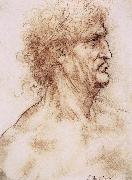 LEONARDO da Vinci Profile one with book leaves gekroten of old man Sweden oil painting artist